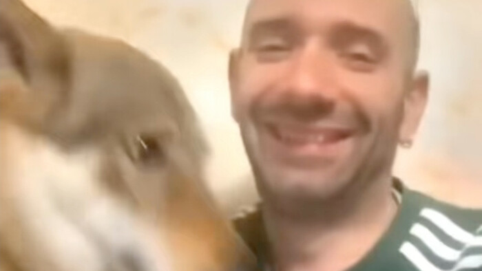 سيغما الكلب العجوز، ثابت لدرجة لا تُصدَّق!