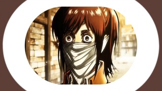 amv Sasha braush