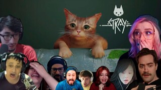 A CENA DE STRAY QUE QUEBROU O CORAÇÃO DOS STREAMERS