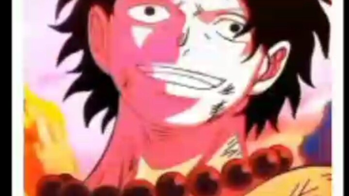 THE ONE PIECE IS REAL
