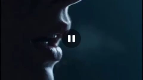 Owned by the Vampire King