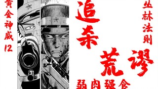 丛林法则，弱肉强食【黄金神威12】