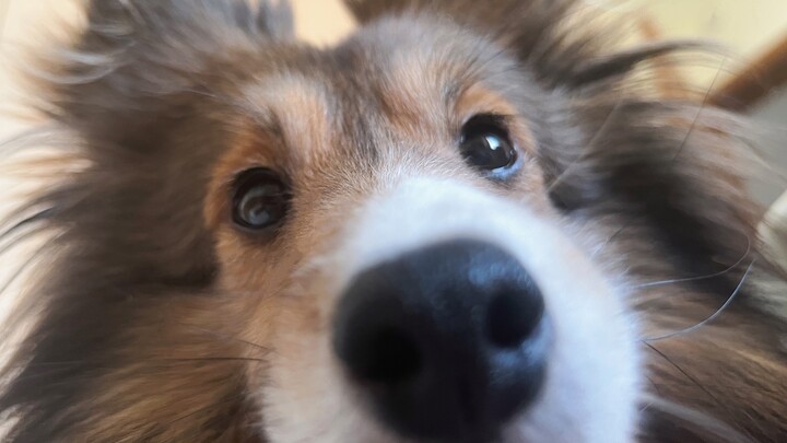 早上醒来一翻身，谁懂啊家人们