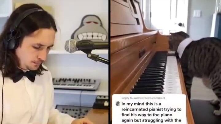 I reworked a melancholy cat playing the piano into an entirely new song—and it’s so emotional I’m ab