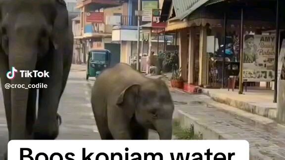 Dubbing dappa