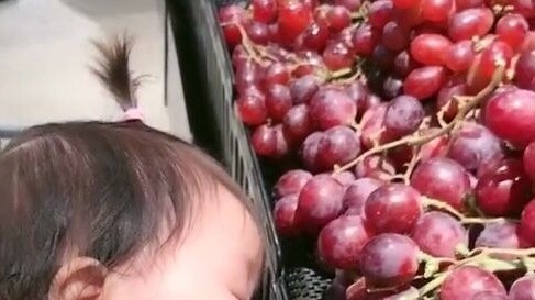 รางวัลสำหรับพฤติกรรมสับสนของลูกมนุษย์