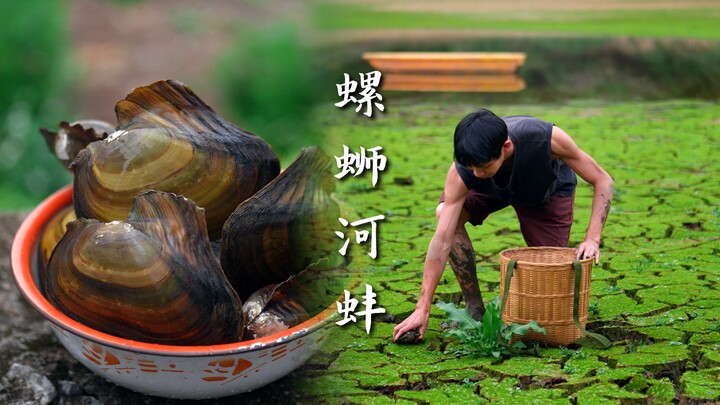 Đào hến sông lớn, mò ốc bươu, nấu một nồi hương vị mùa xuân