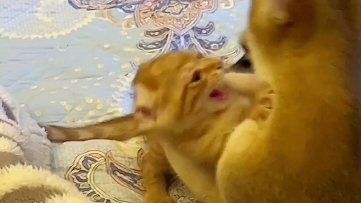 “Ada kasih sayang seorang ibu, tapi tidak banyak”