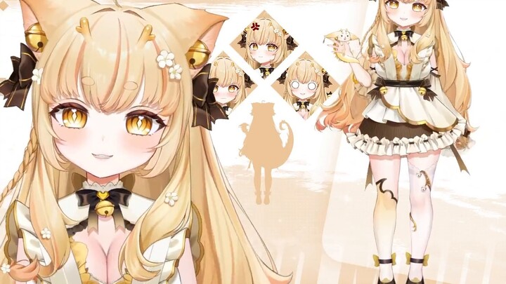 [Mẫu trưng bày] Chinchilla lai cũng muốn dễ thương