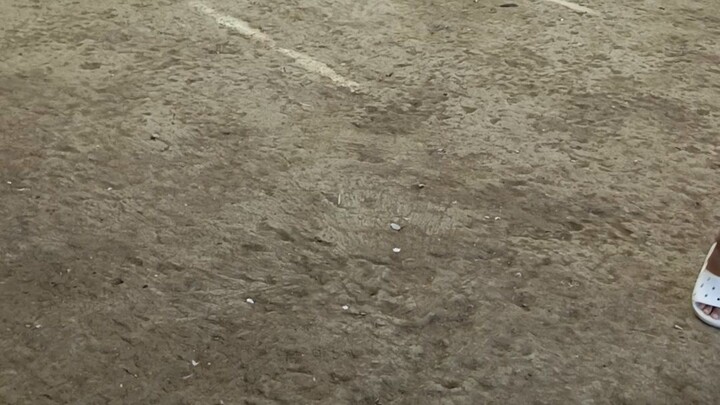 win Tayo atin si goldy