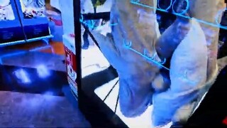 第六日----横浜&東京駅&秋葉原again