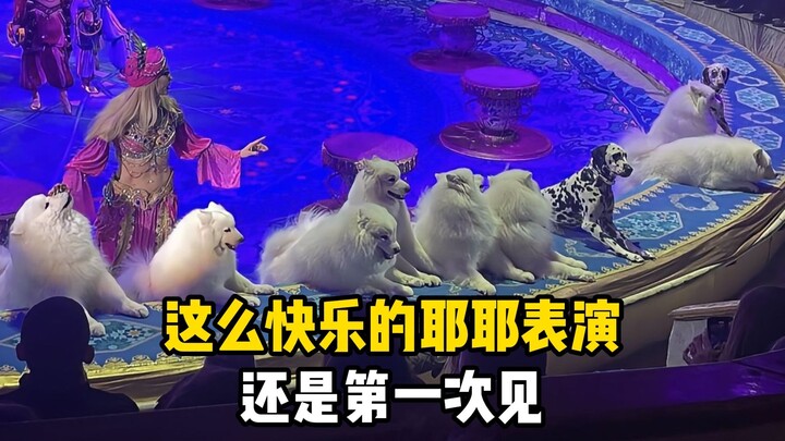 Ye Ye: People! Ye can earn little meat snacks on his own now!