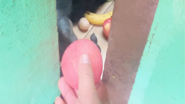 Aku benar-benar takut kalau nanti aku kasih dia seember minyak, malah dikembalikan berupa sepiring m