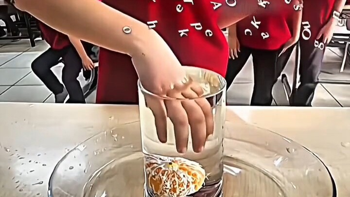 【เทียนซวงX】วิดีโอล่าสุดเผยแพร่แล้ว ฝากติดตามด้วยนะ!
