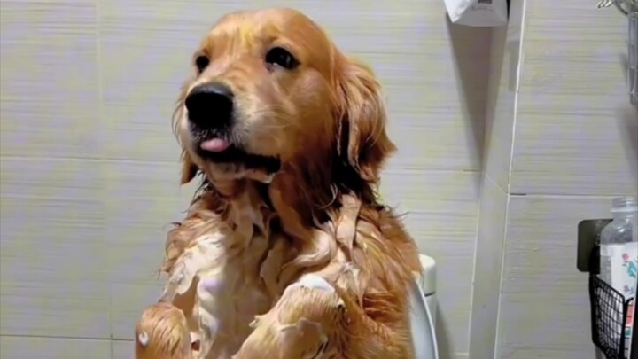 He sure does talk a mile a minute while taking a shower!