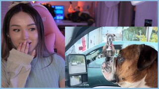 The Funniest Internet Moments REACTION!!!