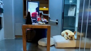 Hari ini, istriku hampir menemukan markas rahasiaku...