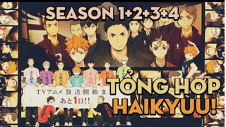 TỔNG HỢP "Haikyuu" | Season 1+2+3+4 | tóm tắt Anime Hay|