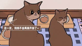 猫妈妈：如果能重逢，我不会再丢下你了（接上期）