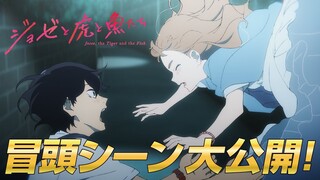 【12月25日公開】アニメ映画『ジョゼと虎と魚たち』冒頭シーン大公開！！