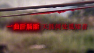 “一曲肝肠断，天涯何处觅知音”