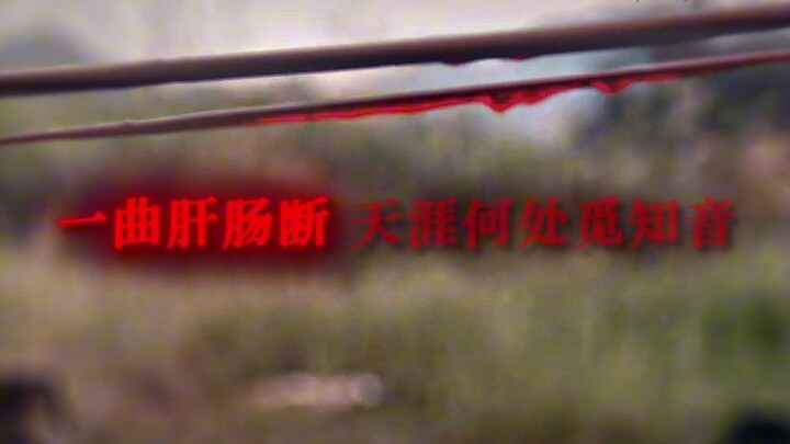 “一曲肝肠断，天涯何处觅知音”