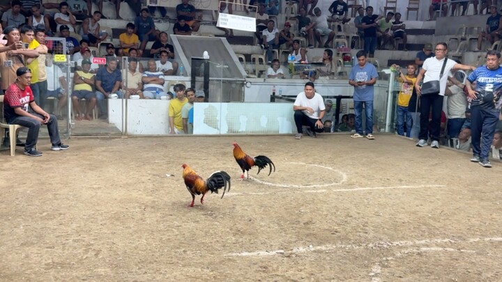 PCC 4 COCK FINALS SECOND FIGHT ENTRY NAME: 3WC