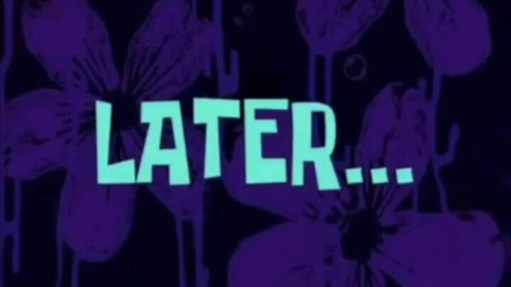 Con vẹt 🦜: Tôi đã nói với cả họ hàng trong nhà rồi, bảo là đến chỗ bạn có đồ ăn ngon. Giờ thì họ kéo