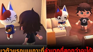 แมวตัวแรกบนเกาะที่ลำบากที่สุดกว่าจะได้มา Animal Crossing