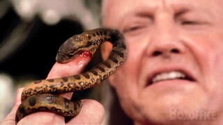 Baby Snakes Invasion | Anaconda | CLIP