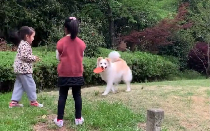 Chen Bella has planted beautiful seeds in the hearts of many kids.