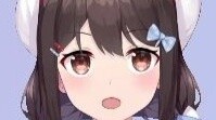 Xiao N: I haven’t directed Absolute Zone Zero, can Moegirlpedia help me revise it?