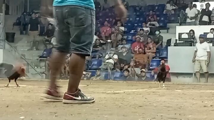 first win ni straightcomb👏