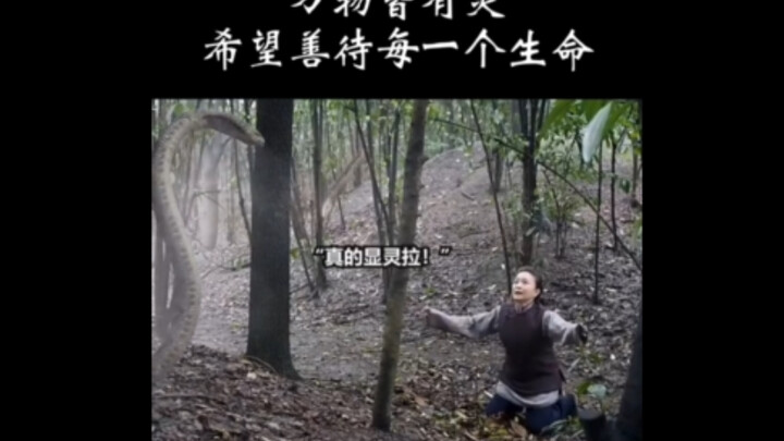 ทุกสิ่งล้วนมีจิตวิญญาณ ทุกชีวิตล้วนสมควรได้รับความรัก 🥳