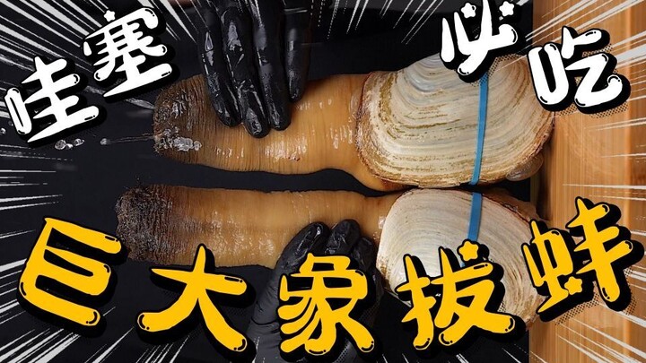 ว้าว! ความสดอร่อยระดับเทพบนพื้นโลก “หอยช้าง” ที่ต้องลองให้ได้ในชีวิต!