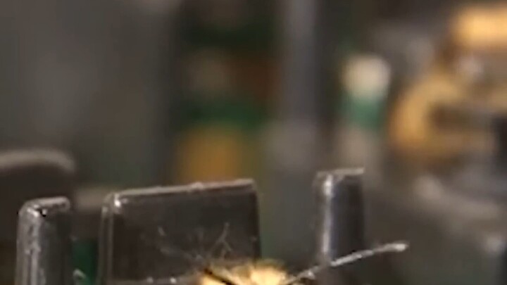 努力工作的蜜蜂