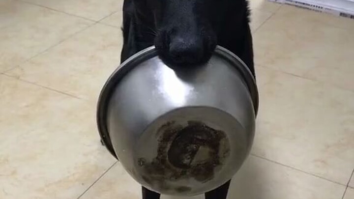 Khoảnh khắc chậu nước rơi xuống, tôi nghe thấy tiếng trái tim mình tan vỡ