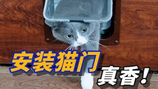 安装猫门，我后悔吗？