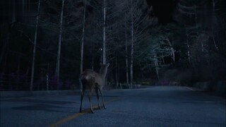 Mask (2015) EP 01 Sub Indo