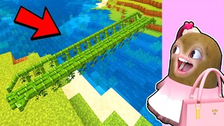 MOMON BUAT JEMBATAN BAMBOO DARI TIK TOK HACK ft @BANGJBLOX | MINECRAFT