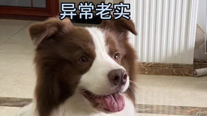 Fishy: You're being too slow. I'll do it myself.