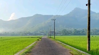 rindu kampung halaman 🌾