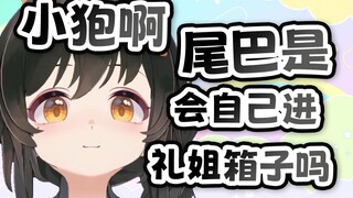 小狍啊，素材是会自己进礼姐箱子的吗？【瓜咪】