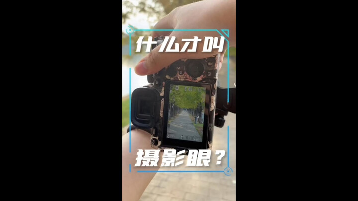 什么才叫摄影眼？