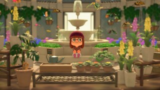 Game|Animal Crossing|Bảo tàng sau khi thu thập đủ, đẹp quá!