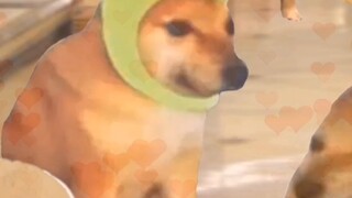 Satan: Actually, I have your limited edition stickers all over my body