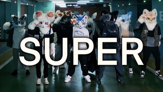 [Fursuit Dance] Khi Furui Dance Company thử sức với Super Sanzuchuan x All Furry Dance Company