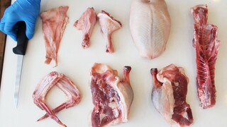 How to Make Four Dishes From a Duck
