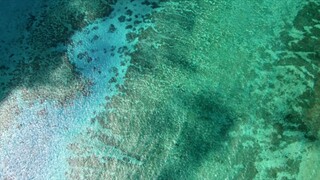 Great Barrier Reef with David.Attenborough 1of3 - Builders