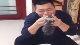 Ayah: “Jika kamu berani memelihara kucing, aku akan membuangnya untukmu.”